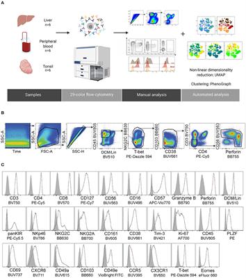 29-Color Flow Cytometry: Unraveling Human Liver NK Cell Repertoire Diversity